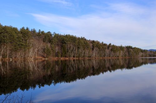Free Tranquil forest reflects on a still lake under a clear blue sky. Stock Photo