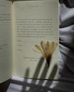 Close-Up Shot of a Dried Flower on a Book