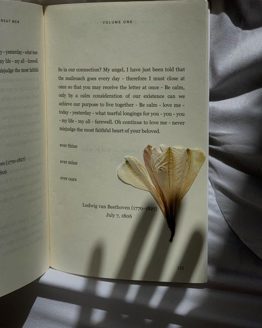 An open book with a dried flower and dramatic shadows on the page.