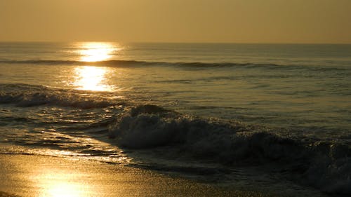 Free stock photo of sea beach