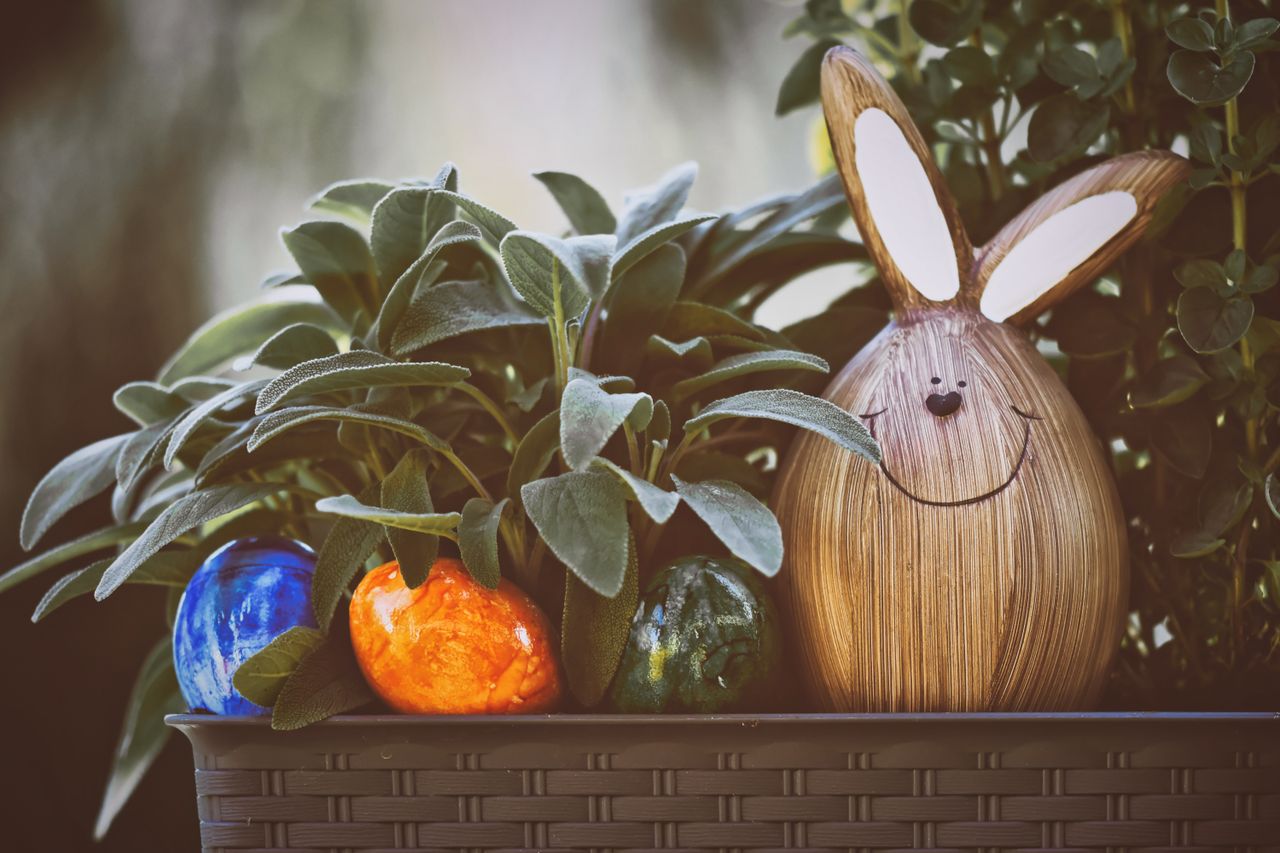 wooden bunny and colorful easter eggs nestled in plants for festive de