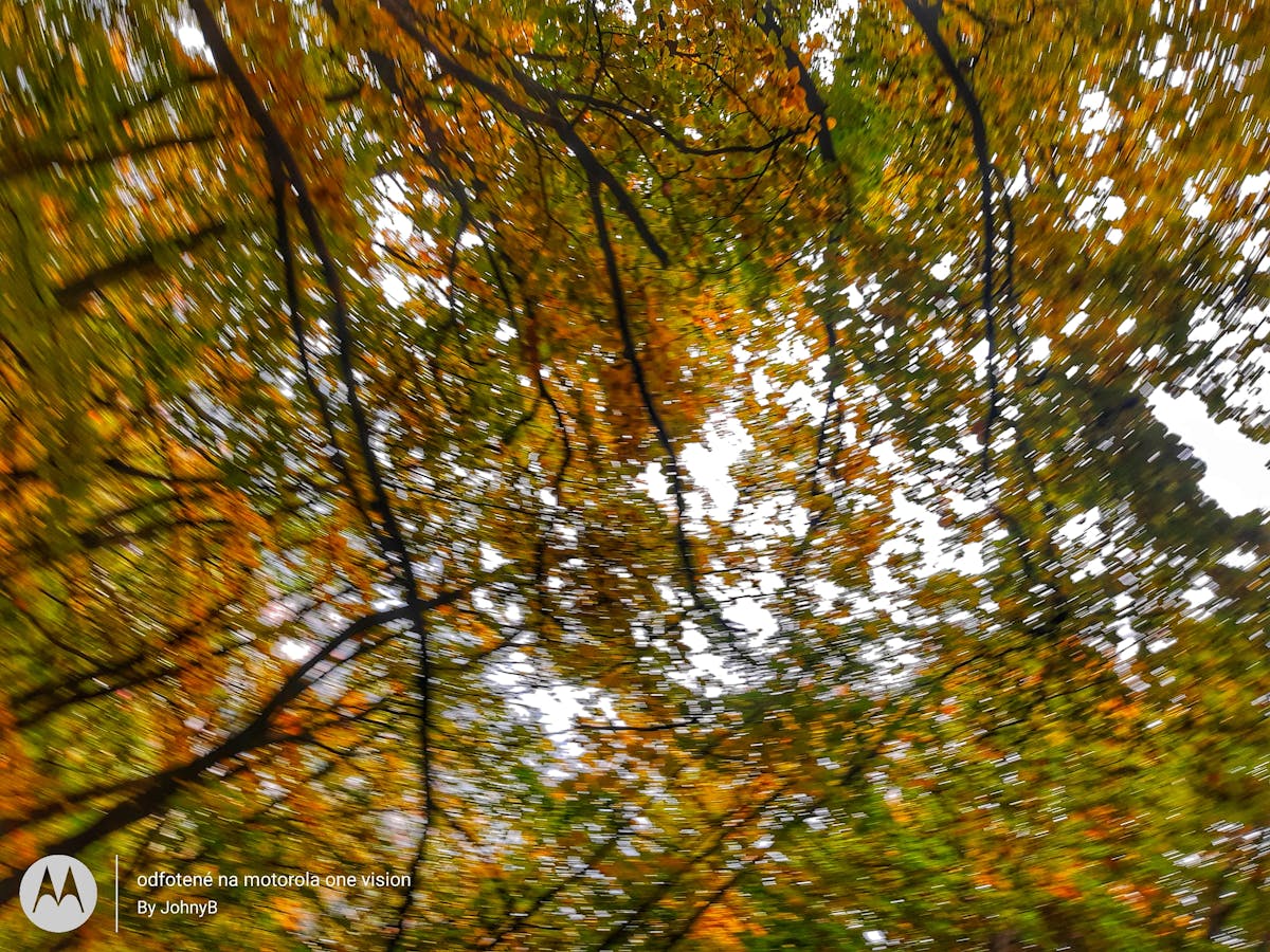 Person using a smartphone to automate recurring investments