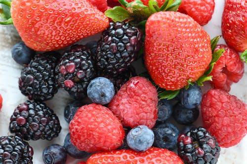 Free Close-Up Shot of Berries Stock Photo