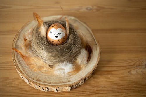Darmowe zdjęcie z galerii z drewniany, jajko, jajko wielkanocne