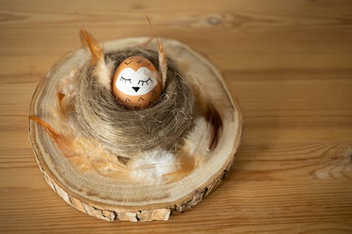 Easter Egg among Hay and Feathers on Wooden Tray