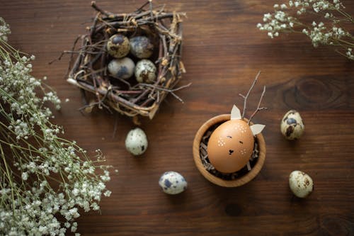 俯視圖, 巢, 復活節彩蛋 的 免费素材图片