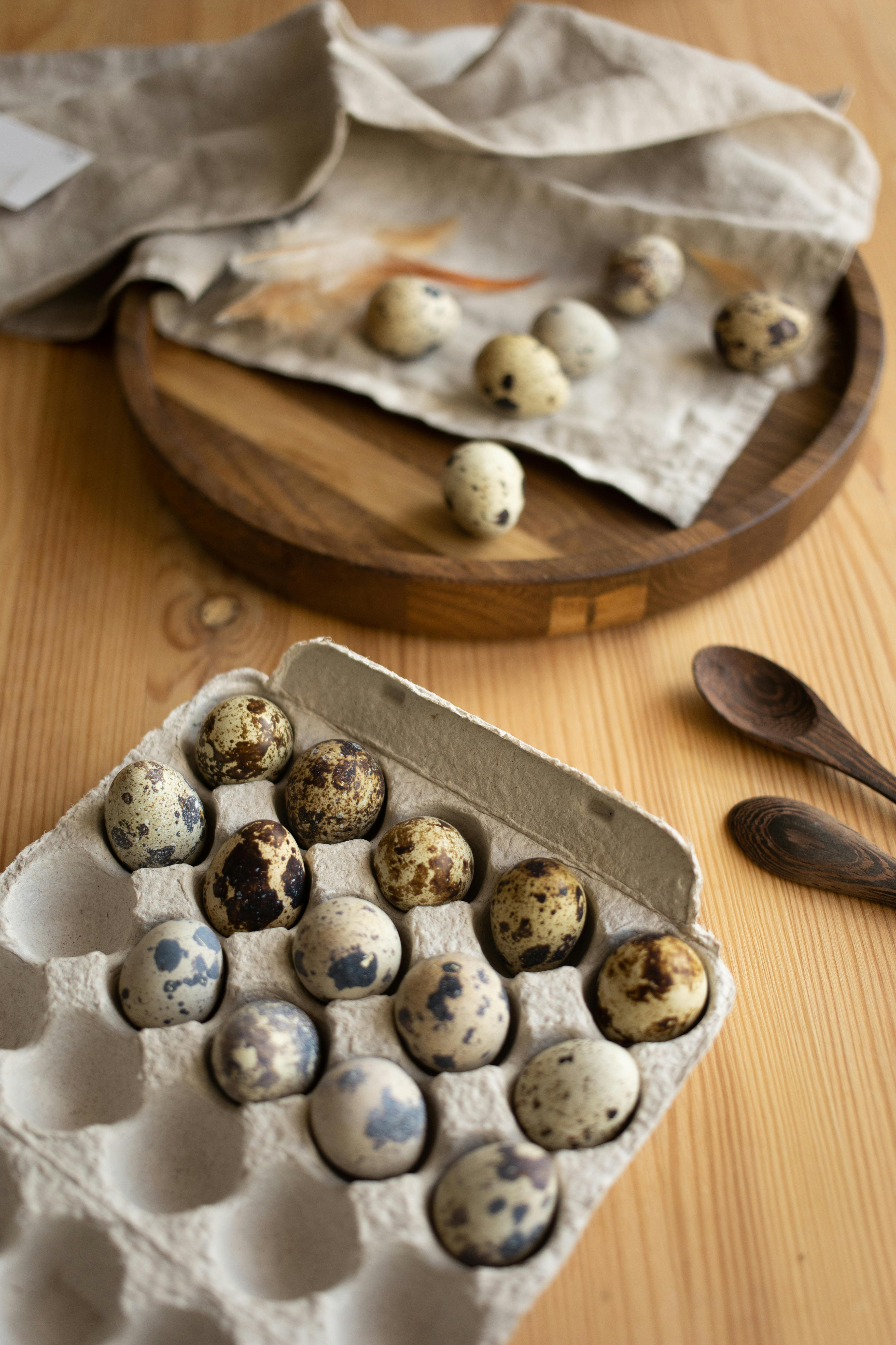 photo of a tray with quail eggs