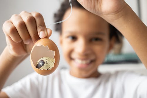 Photo of a Quail Egg Inside an Eggshell
