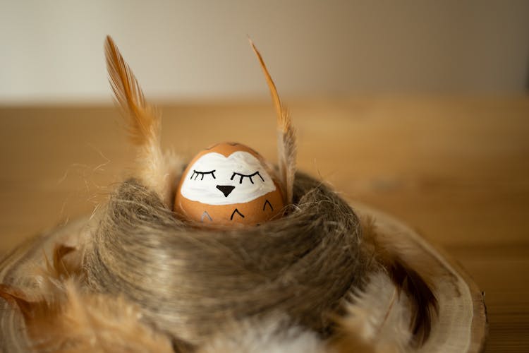 Close-Up Photo Of A Brown Easter Egg On A Nest