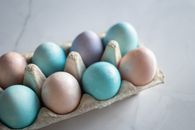 Blue Egg on Brown Egg Tray