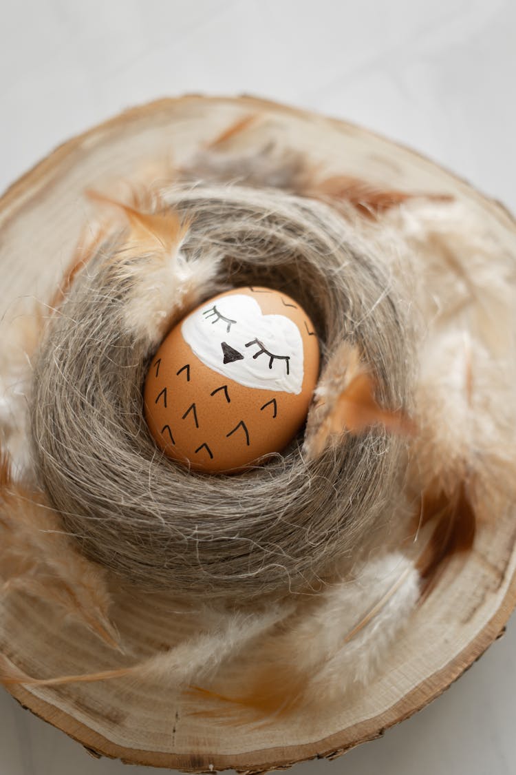 Easter Egg Painted Like An Owl In A Nest 