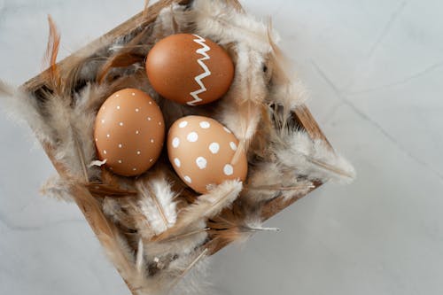 Brown and White Eggs and Brown Feathers on Brown Wooden Tray