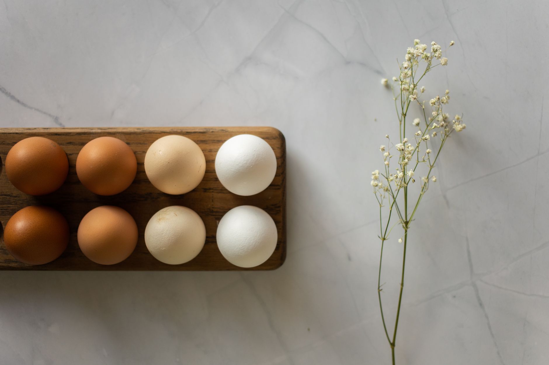 eggs photograph for this story