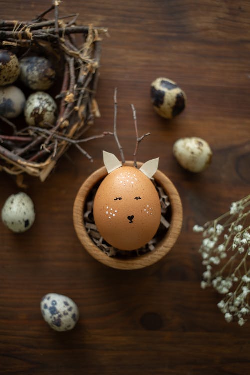 Ücretsiz benzerlik, bıldırcın yumurtası, dallar içeren Ücretsiz stok fotoğraf Stok Fotoğraflar