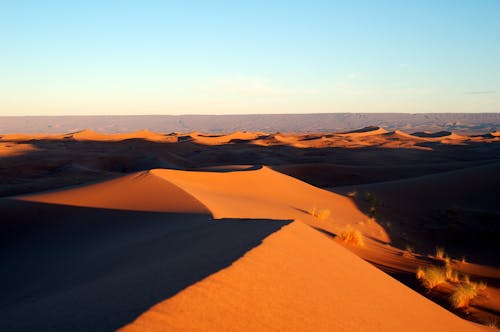 Základová fotografie zdarma na téma duny, horko, krajina