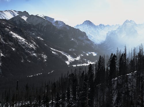Základová fotografie zdarma na téma hory, zima