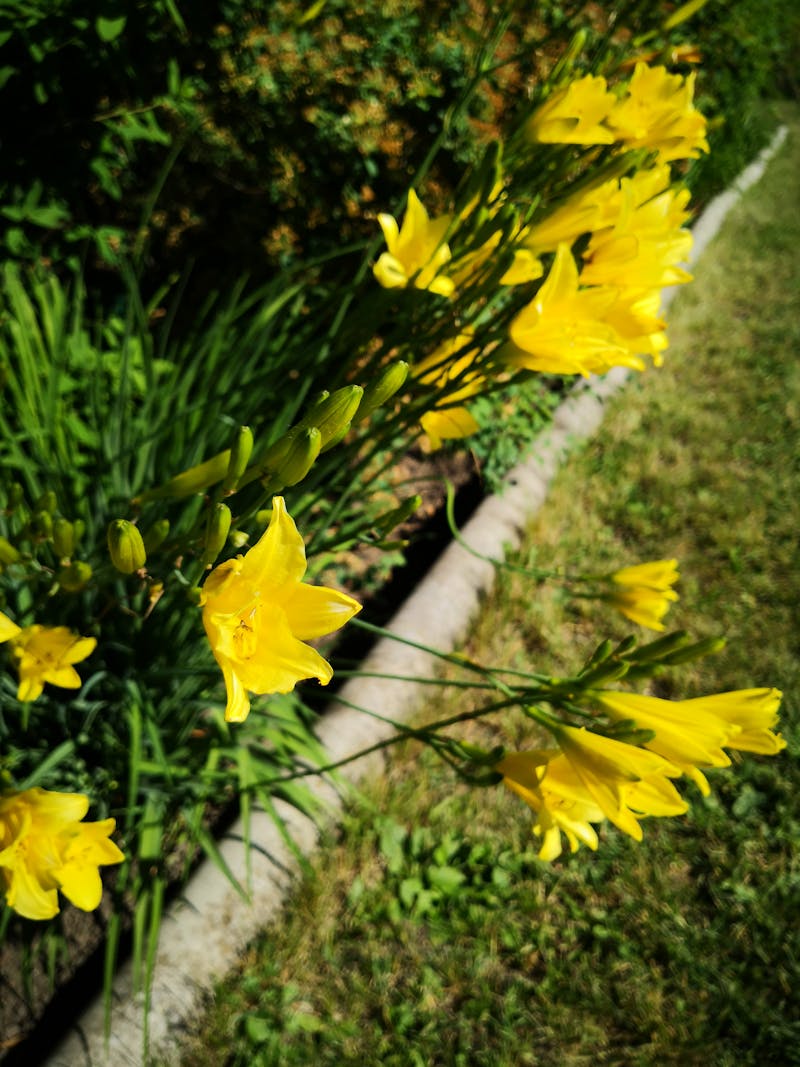 Working With Your Natural Rhythms