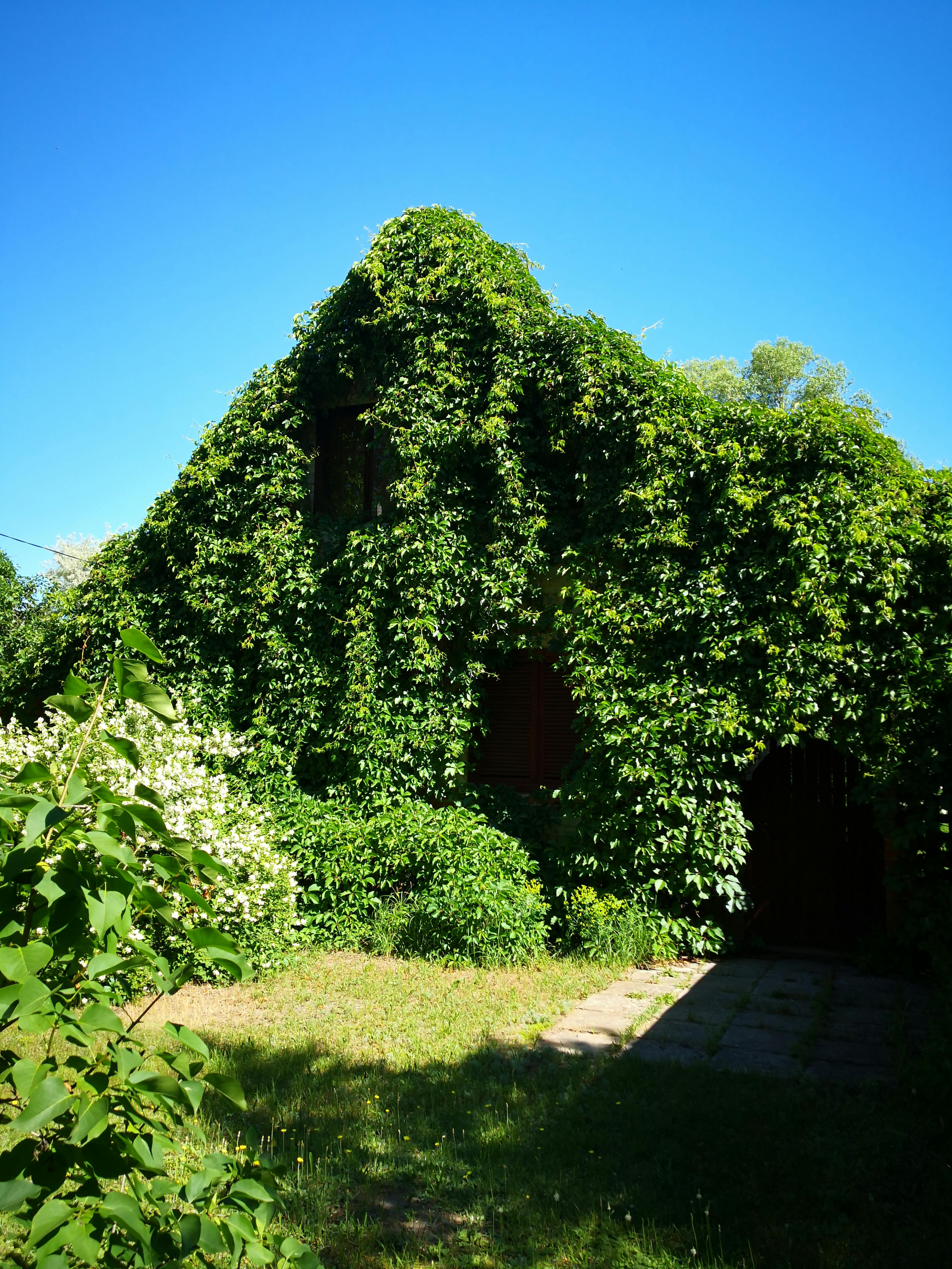 Bed Bug Exterminator: Rockland NY