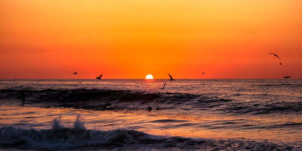 Gạo nảy mầm - Giải pháp dinh dưỡng vượt trội cho sức khỏe của bạn