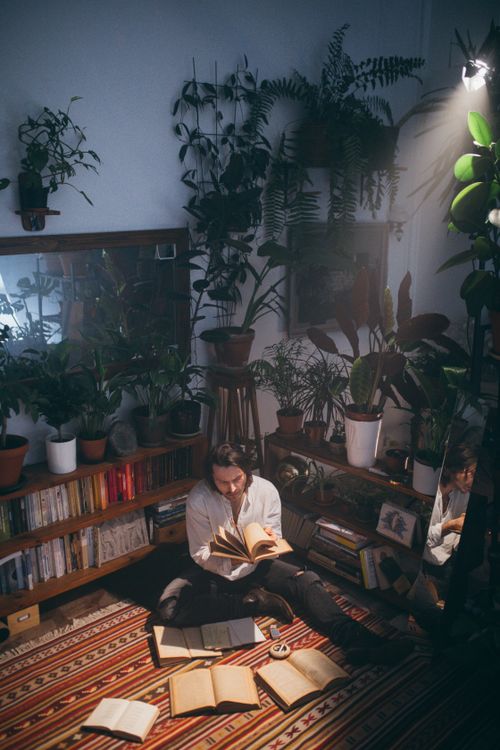 Free A man reading a book in a room filled with lush plants and scattered open books on the floor. Stock Photo