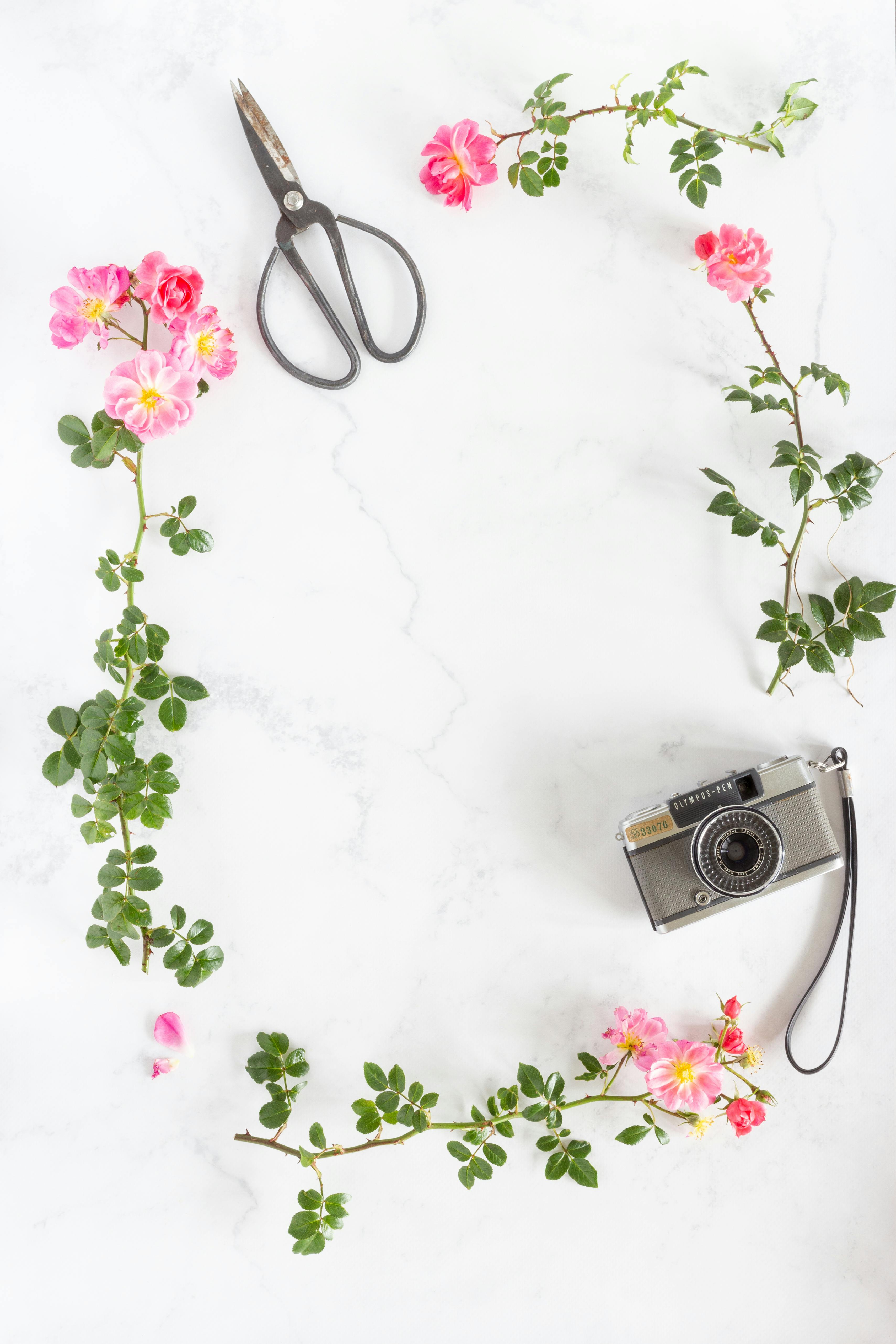Flatlay of a vintage camera, flowers, and scissors on a white surface.