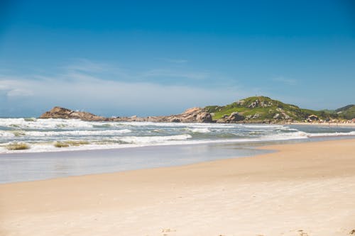 Free stock photo of beach, environment, litter