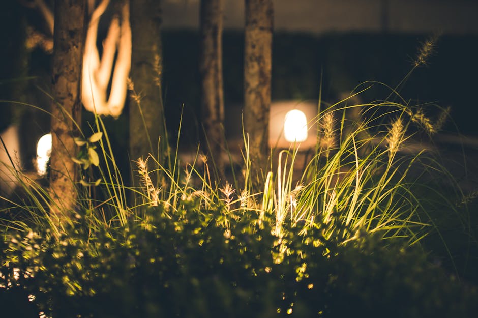 garden lighting landscape