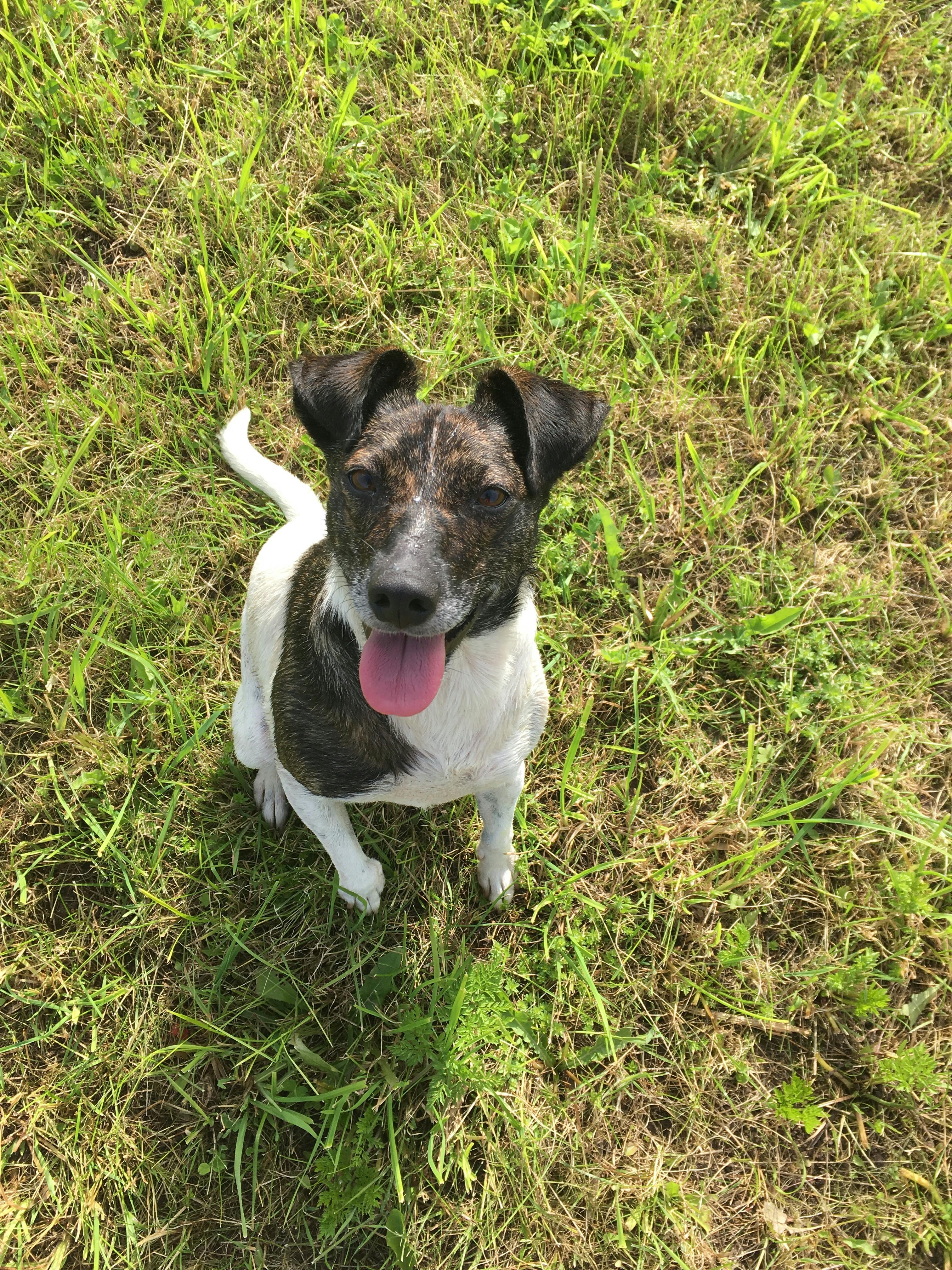 Thẻ tín dụng trên bàn