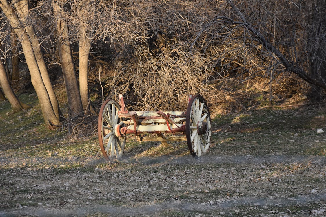 Grimes與Elon Musk共同監護孩子的真實挑戰:2026年科技精英父母的育兒困境剖析 Grimes與Elon Musk共同監護孩子的真實挑戰:2026年科技精英父母的育兒困境剖析