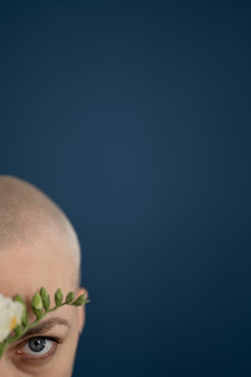 Half face of young bald female touching face with white flower and looking at camera against dark studio wall