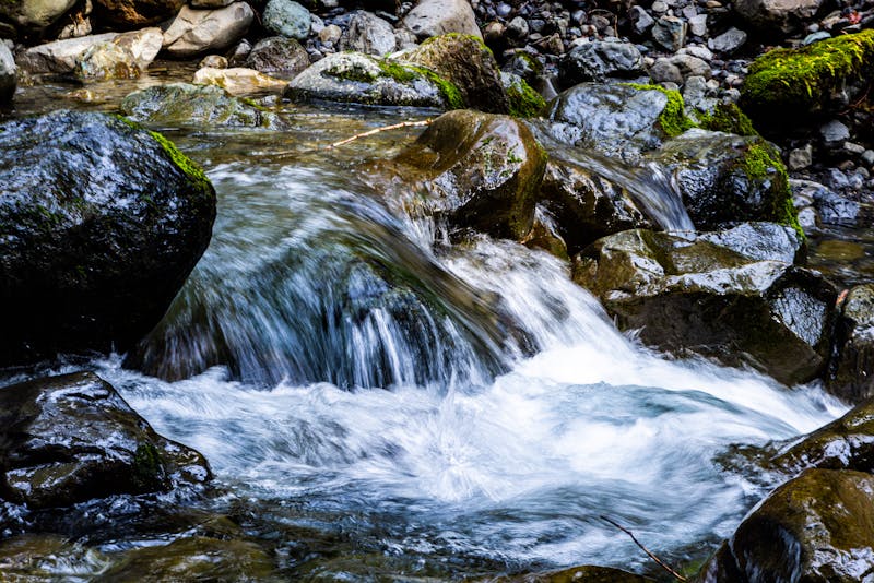 Ibuprofeno: cuándo es adecuado