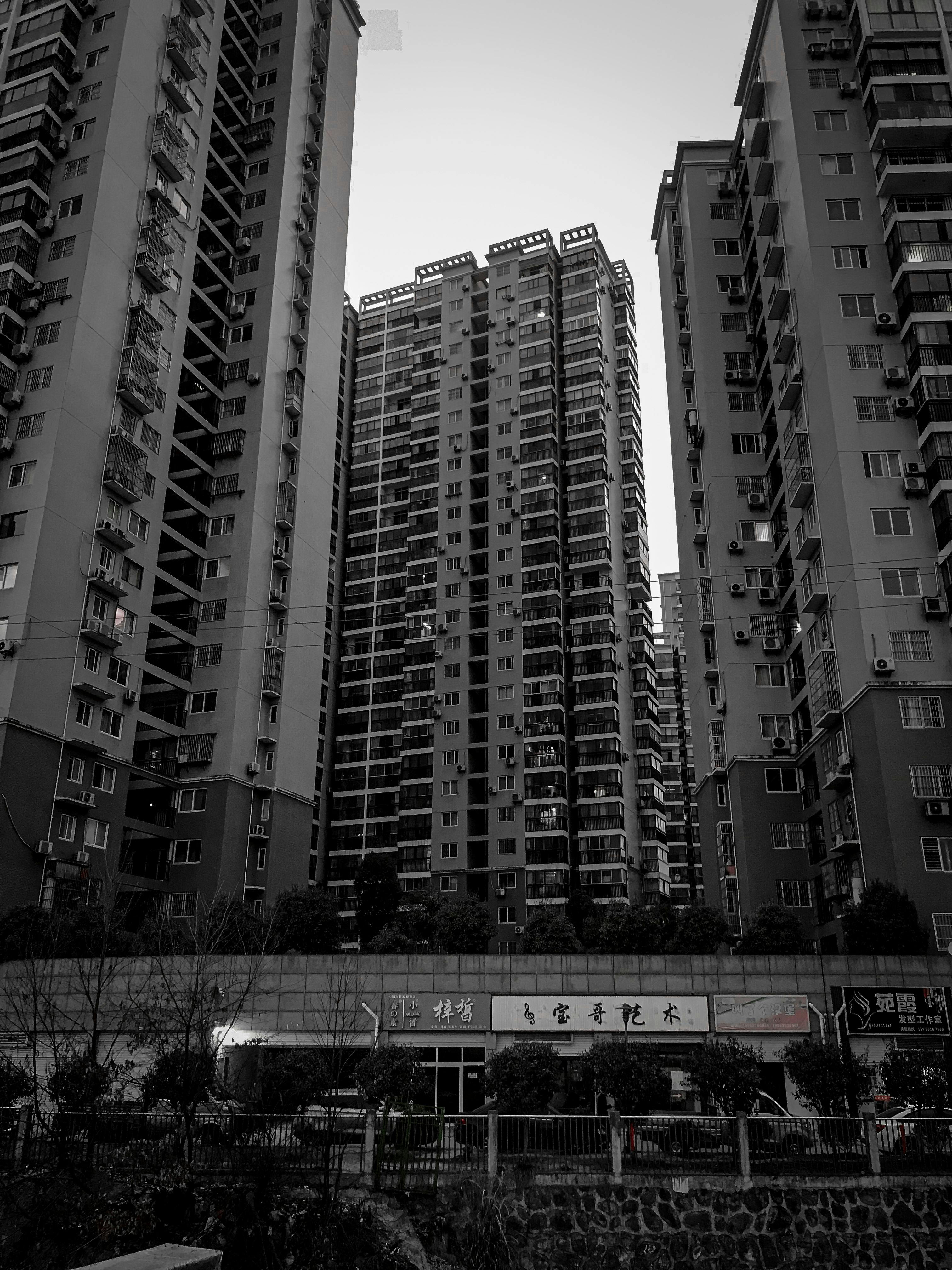 Elegant interior with decorative finishes