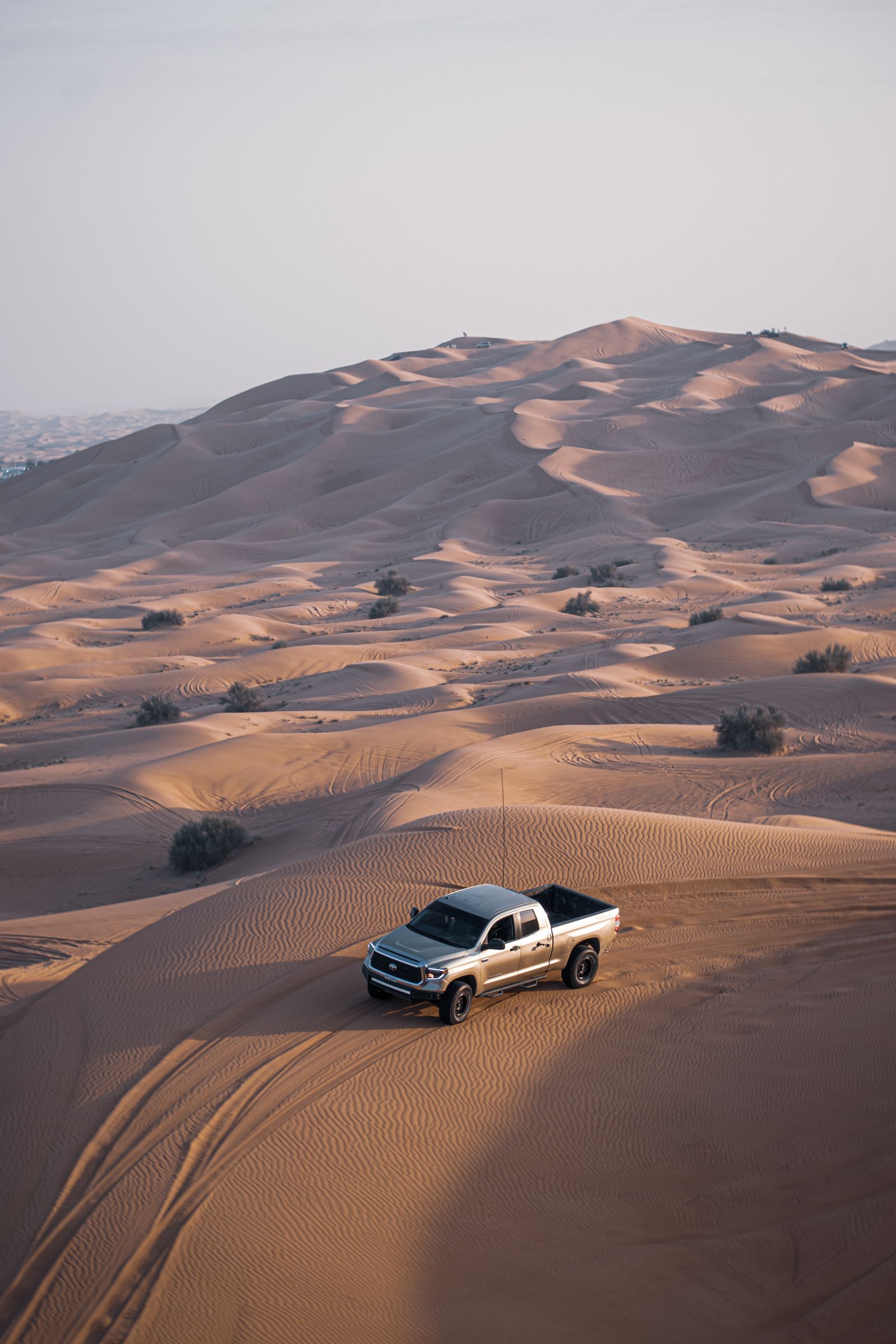 Mleiha Archaeological and Desert Experience