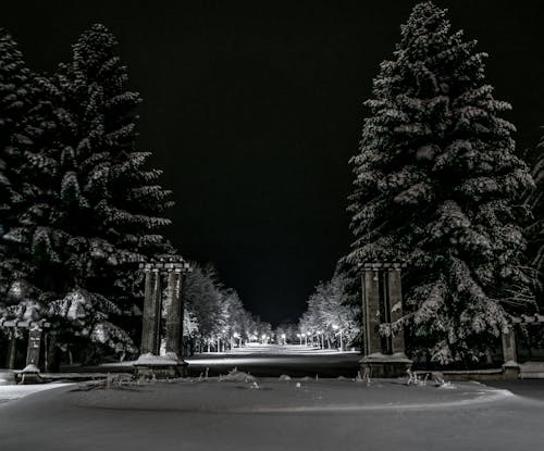Бесплатное стоковое фото с зима, лампы, легкий