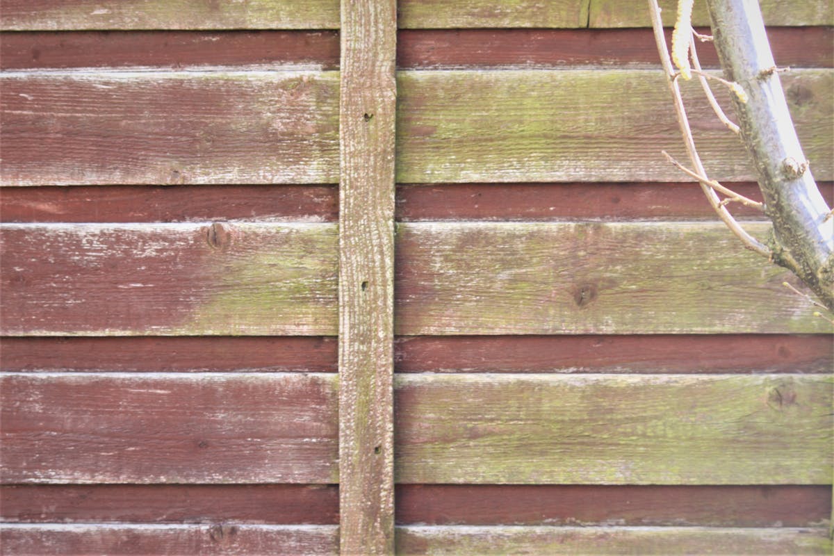 Influencer showcasing beauty products in a short vertical video