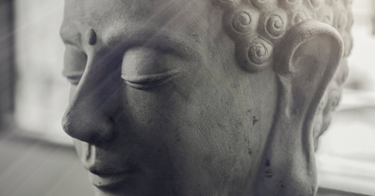 Selective Focus of Gautama Buddha Bust