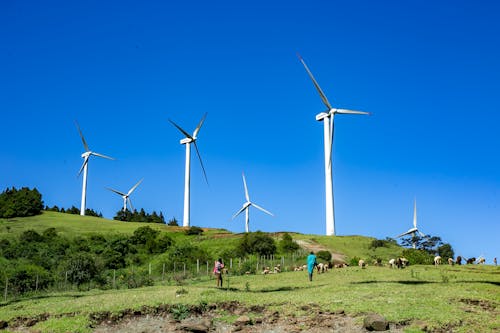 Free stock photo of wind turbines