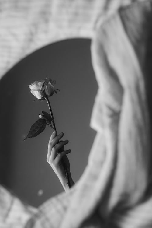 Monochrome Photo of a Person's Hand Holding a Rose
