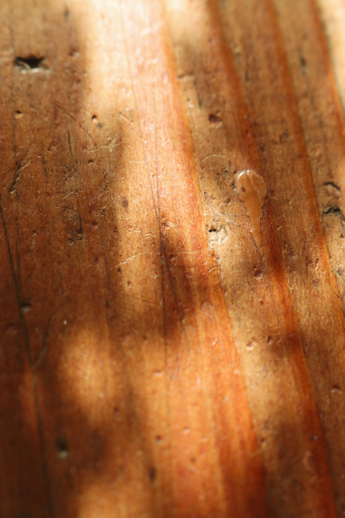 Person walking safely at dusk under a shaded path