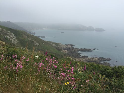 Imagine de stoc gratuită din cer, coastă, coastă de stâncă