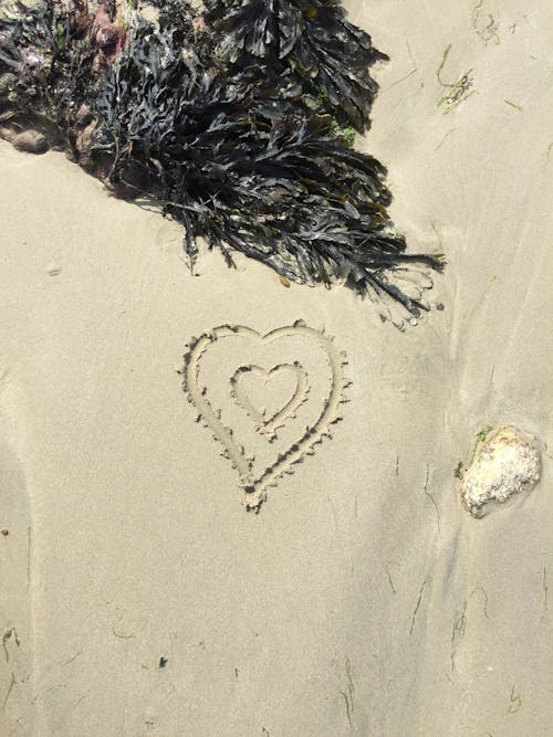 愛, 海灘, 爱心 的 免费素材图片