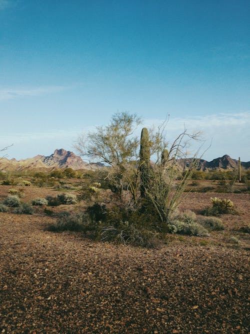 Free stock photo of arizona, beautful, blue