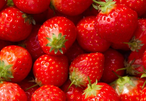 건강한, 딸기, 맛있는의 무료 스톡 사진