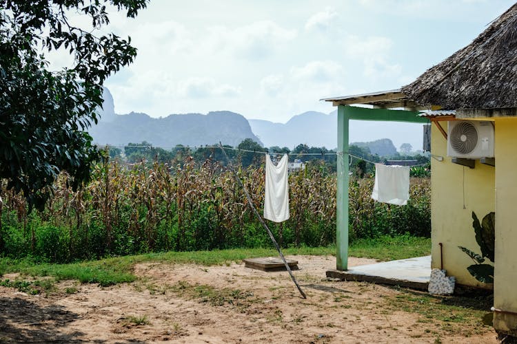 Photograph Of A Hanging Sheet Near A Corn Field