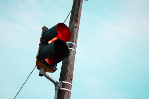 Free stock photo of traffic light, utility pole Stock Photo