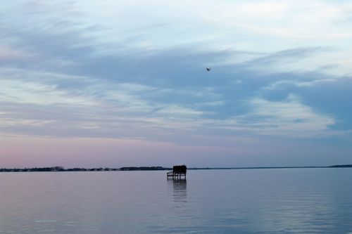 Free stock photo of bird, body of water, cinematic sky Stock Photo