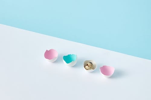 Free A Quail Egg in a Chicken Eggshell Stock Photo