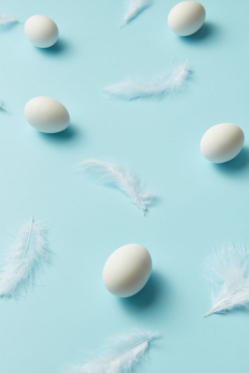 Free Artistic flat lay of white eggs and feathers on a light blue background, exuding a serene and minimalist vibe. Stock Photo