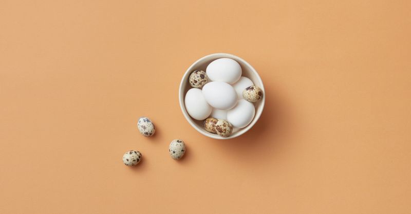 Poids Blanc Œuf : Mesures Exactes Pour Cuisine