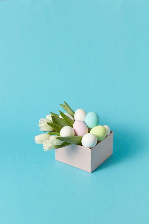 Free A minimalist arrangement of pastel-colored Easter eggs and white tulips in a box against a blue background. Stock Photo